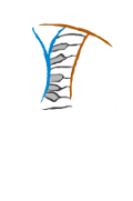 Young Talents Group